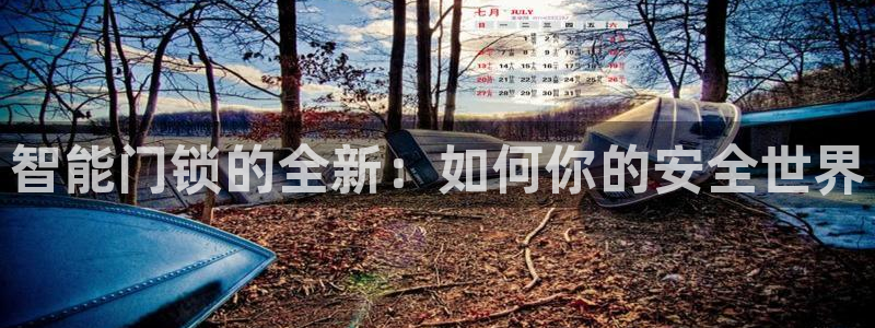 jdb电子游戏官方吴cf66,vip：智能门锁的全新：如何你