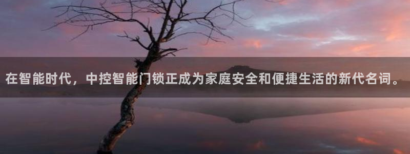 jdb电子游戏麻将无双：在智能时代，中控智能门锁正成为家庭安