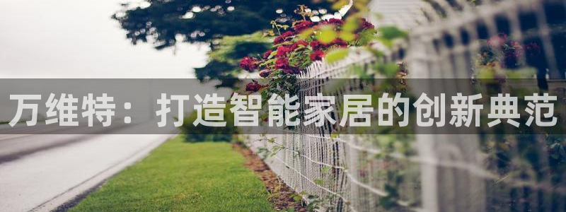 jdb五龙捕鱼实用技巧：万维特：打造智能家居的创新典范