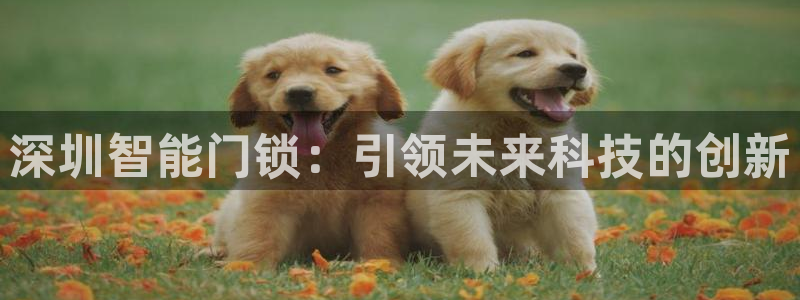 jdb电子忍者x爆奖