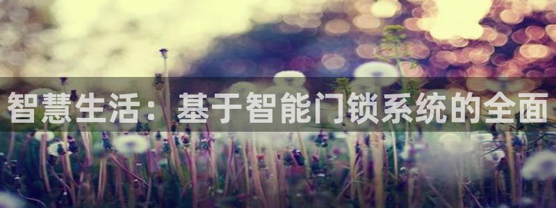 jdb电子大奖：智慧生活：基于智能门锁系统的全面