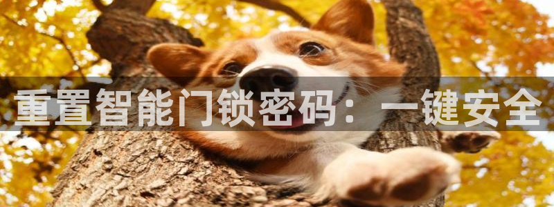 JDB平台下载：重置智能门锁密码：一键安全