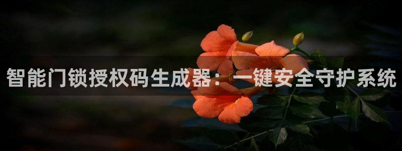 jdb下载：智能门锁授权码生成器：一键安全守护系统