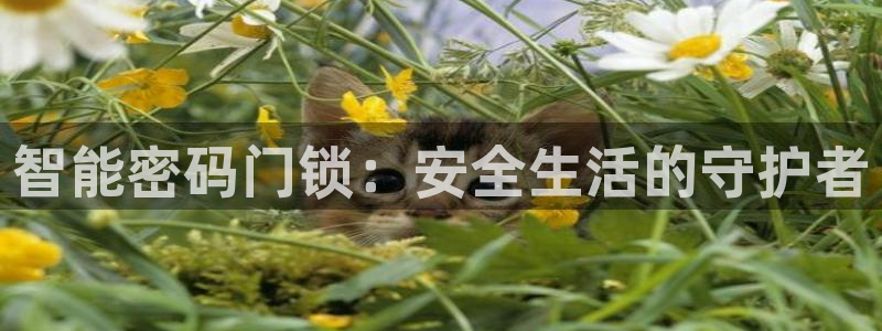 jdb电子游戏源码：智能密码门锁：安全生活的守护者
