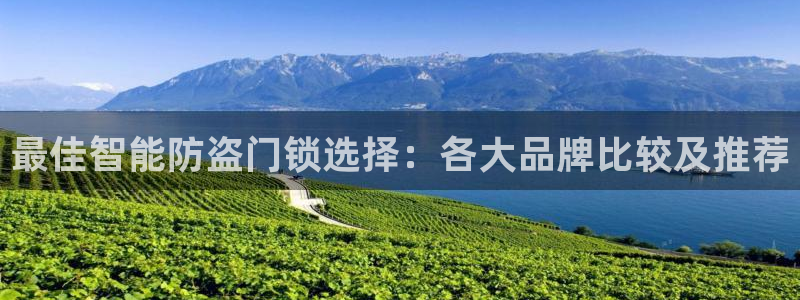 jdbc.database=cms：最佳智能防盗门锁选择：各