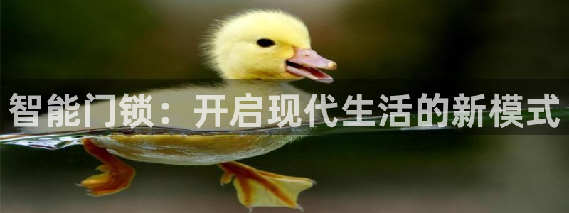 jdb爆分视频：智能门锁：开启现代生活的新模式