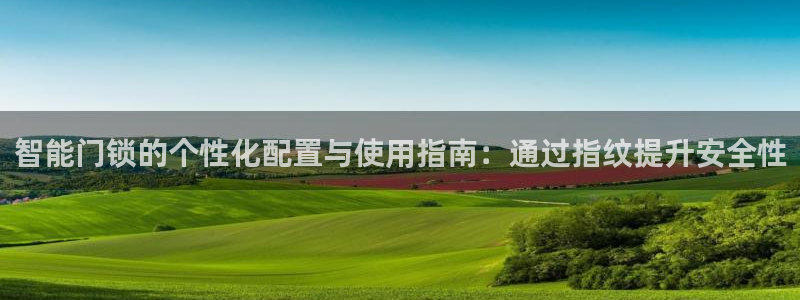 winningmaskll-jdb电子夺宝：智能门锁的个性化