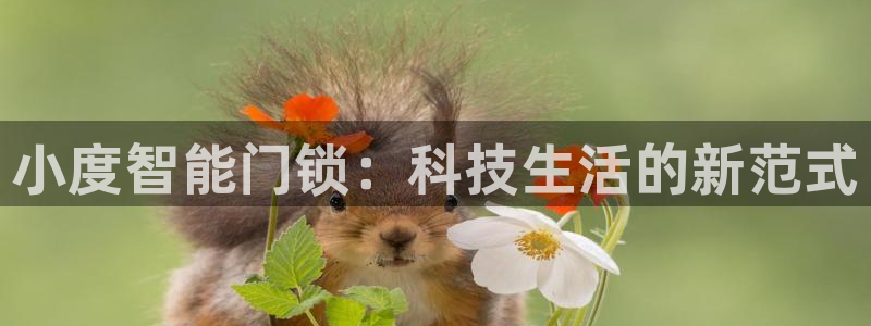 jdb电子输几十万：小度智能门锁：科技生活的新范式