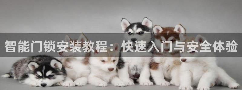JDB游戏论坛：智能门锁安装教程：快速入门与安全体验