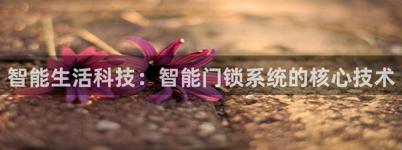 jdb电子飞鸟派对游戏大奖：智能生活科技：智能门锁系统的核心