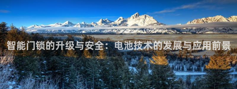 jdb变脸1000倍：智能门锁的升级与安全：电池技术的发展与