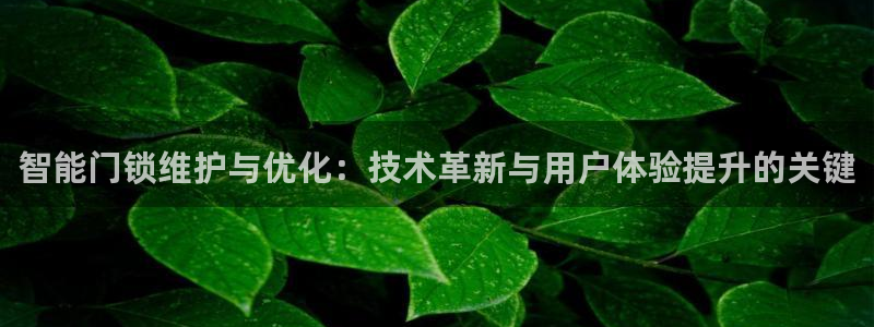 JDB电子夺宝试玩：智能门锁维护与优化：技术革新与用户体验提