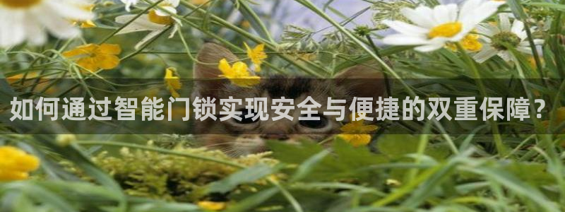 JDB电子大奖视频：如何通过智能门锁实现安全与便捷的双重保障